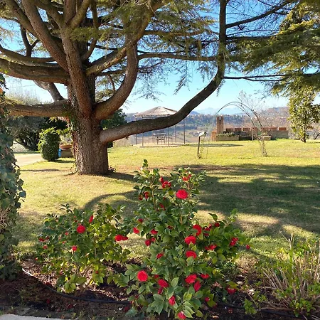 Villa Your-all-season-paradise, Sea View, Adria, In Italy
