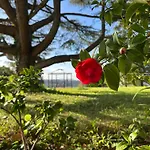 Villa Your-all-season-paradise, Sea View, Adria, In Italy Potenza Picena