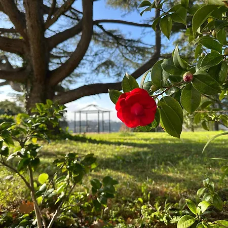 别墅 Your-all-season-paradise, Sea View, Adria, In Italy 波滕扎皮切纳