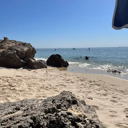 别墅 Your-all-season-paradise, Sea View, Adria, In Italy 波滕扎皮切纳